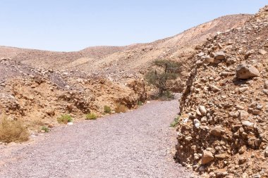 Eilat kenti yakınlarındaki bir doğa rezervinde kurumuş nehir yatağı - İsrail 'in güneyindeki Kızıl Kanyon,