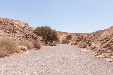 Kuru bir nehir yatağı boyunca Eilat şehrinin yakınlarındaki bir doğal rezerve giden bir yol.
