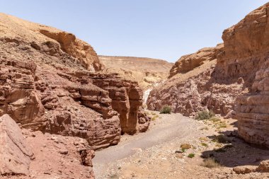 İsrail 'in güneyindeki Kızıl Kanyon, Eilat kenti yakınlarındaki bir doğa koruma alanındaki kayalar arasındaki dar geçit.