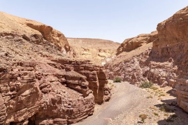 İsrail 'in güneyindeki Kızıl Kanyon, Eilat kenti yakınlarındaki bir doğa koruma alanındaki kayalar arasındaki dar geçit.