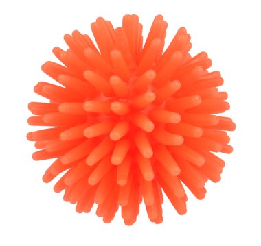      Dikenli köpek kemiği oyuncağı beyaz arka planda izole edilmiş.                          