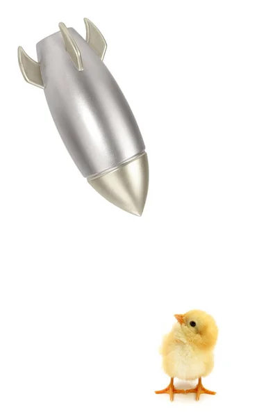 Chick Kijkt Naar Raket — Stockfoto