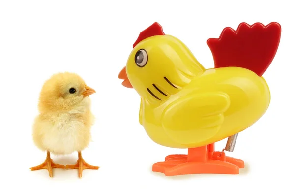 Yellow Plastic Toy Chick Chicken — Stock Photo, Image