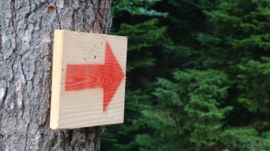 Tahtadaki kırmızı ok işareti ormana giden yolu gösteriyor.                               