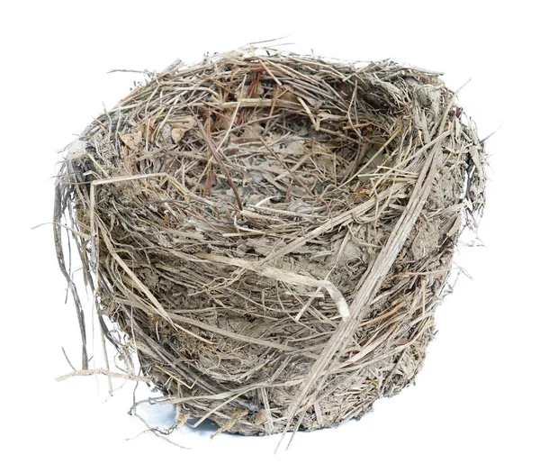 Nest Geïsoleerd Witte Achtergrond — Stockfoto