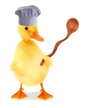 Duck yemek pişiriyor şef.                               