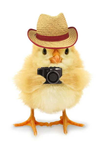 带着帽子和数码相机的漂亮辣妹旅游摄影师形象 — 图库照片
