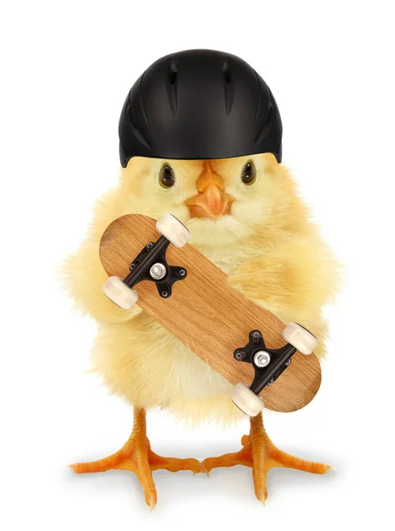 可爱酷小鸡与滑板和头盔有趣的概念形象 — 图库照片