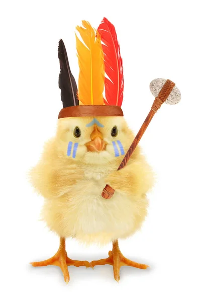 Cute Chick Indian Chief Tomahawk Axe Funny Conceptual Photo — Stock Photo, Image