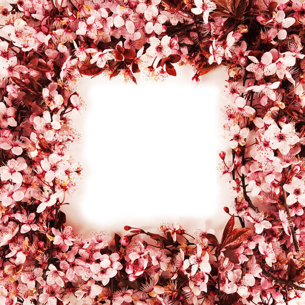 Красивая рамка из цветов                           