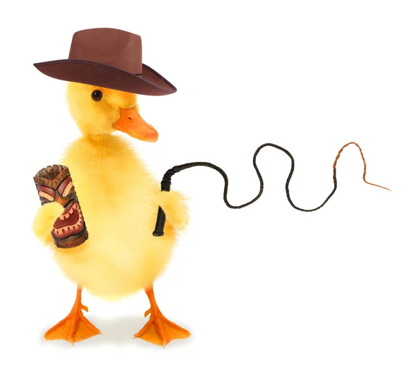 Cute Cool Duckling Adventurer Duck Explorer Fedora Hat Whip Funny — Stock Photo, Image