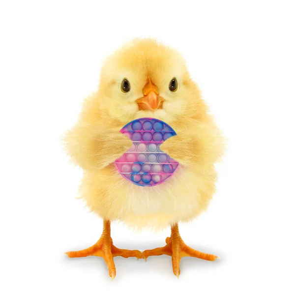 Cute Chick Playing Push Bubble Popper Fidget Zabawka Popularna Gra — Zdjęcie stockowe