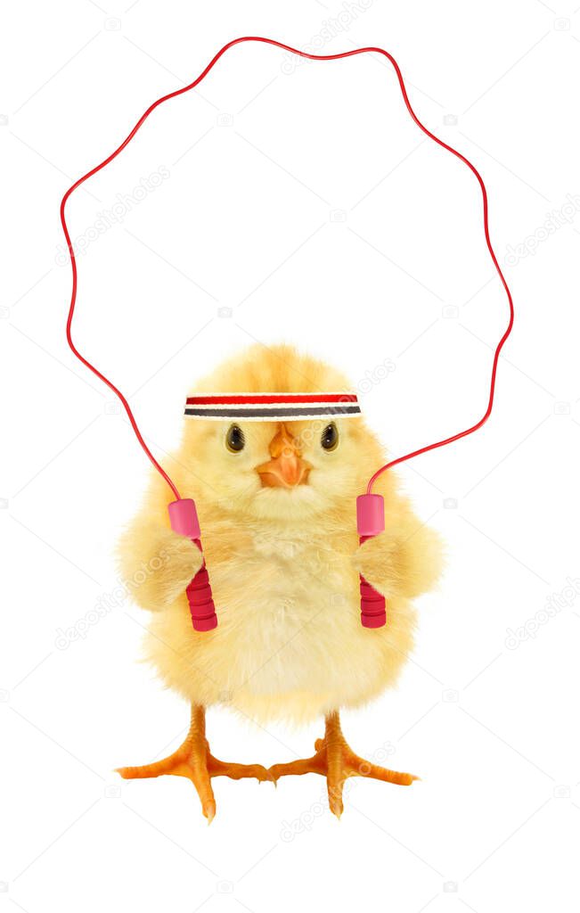 Cute cool chick wellness training practice fitness with jump rope funny conceptual image                                