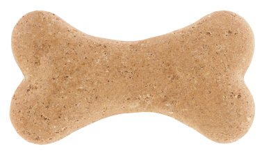 Köpekler için kemik kırık