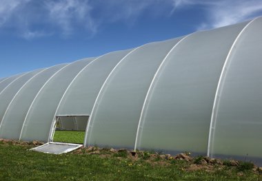 Plastic tunnel greenhouse with young plants inside clipart