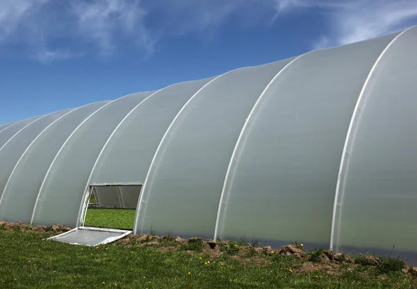 Plastic tunnel greenhouse with young plants inside — Stock Photo, Image