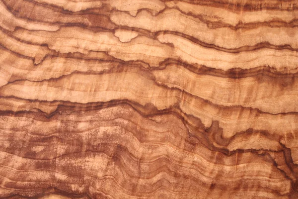 Zeytin ahşap arka plan doku