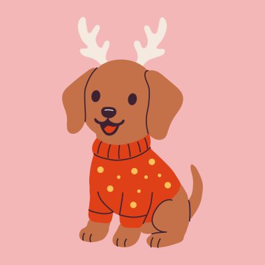 Geyik boynuzlarıyla süveter giyen şirin Noel Köpeği