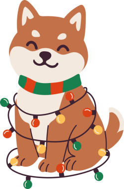 Shiba Inu in Christmas Lights and Cozy Eşarp