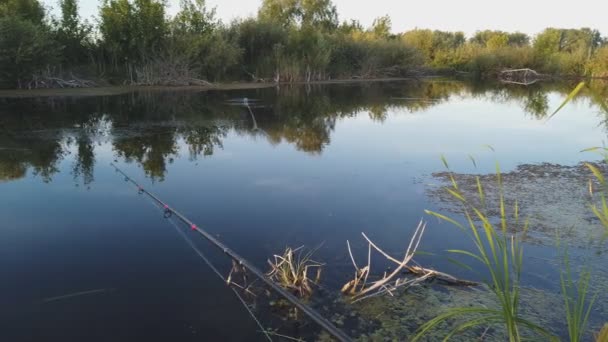 A man fishing with a spinning rod. Makes jerk bait Popper — Stock Footage A man fishing with a spinning rod. Makes jerk bait Popper Stock Footage