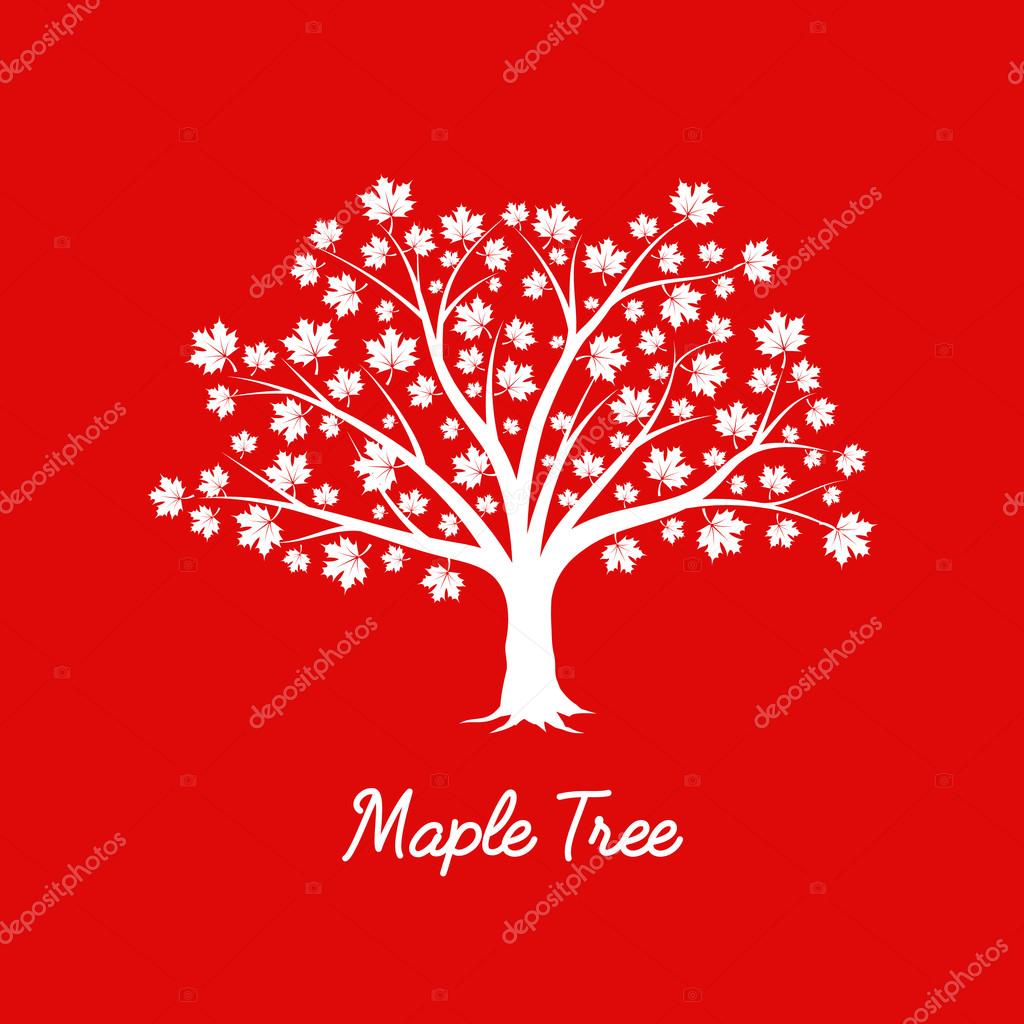 Beautiful white maple tree silhouette on red background. Infographic modern vector sign.  Premium quality illustration logo design concept.