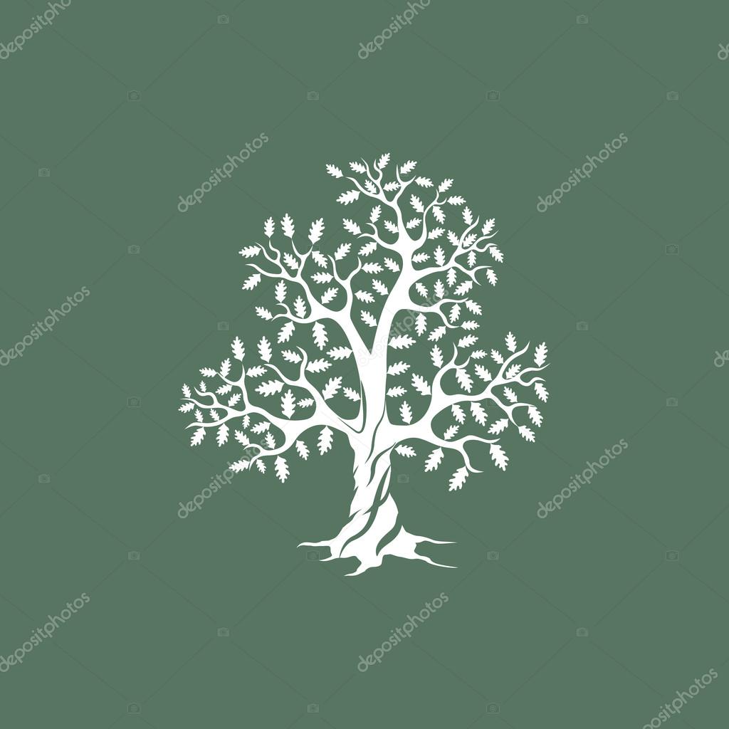 Beautiful white oak tree silhouette on green background. Modern vector sign.  Premium quality illustration logo design concept.