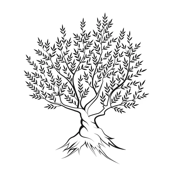 Olivový strom obrys siluety ikona — Stockový vektor