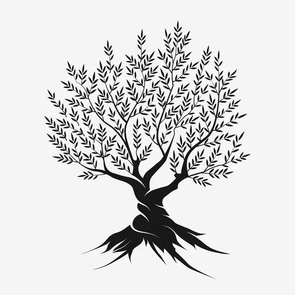 Ikonę sylwetka drzewa oliwne — Wektor stockowy