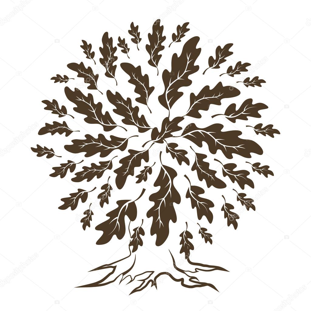Beautiful brown oak tree silhouette isolated on white background. Web graphics modern vector sign. Premium quality illustration logo design concept.