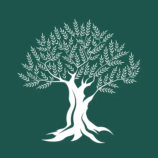 Olivenbaum Silhouette Symbol isoliert auf grünem Hintergrund. — Stockvektor