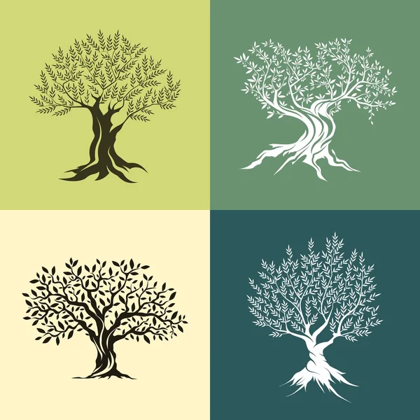 Zeytin ağaçları siluet simge seti izole.