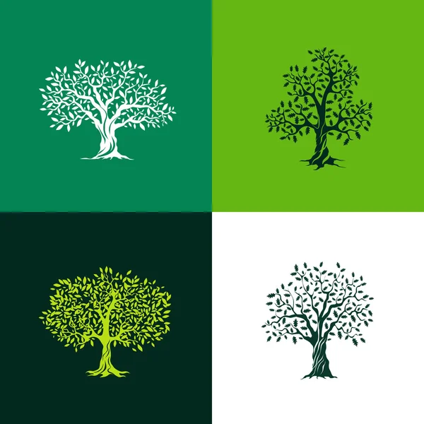 Ensemble silhouette chêne et oliviers — Image vectorielle