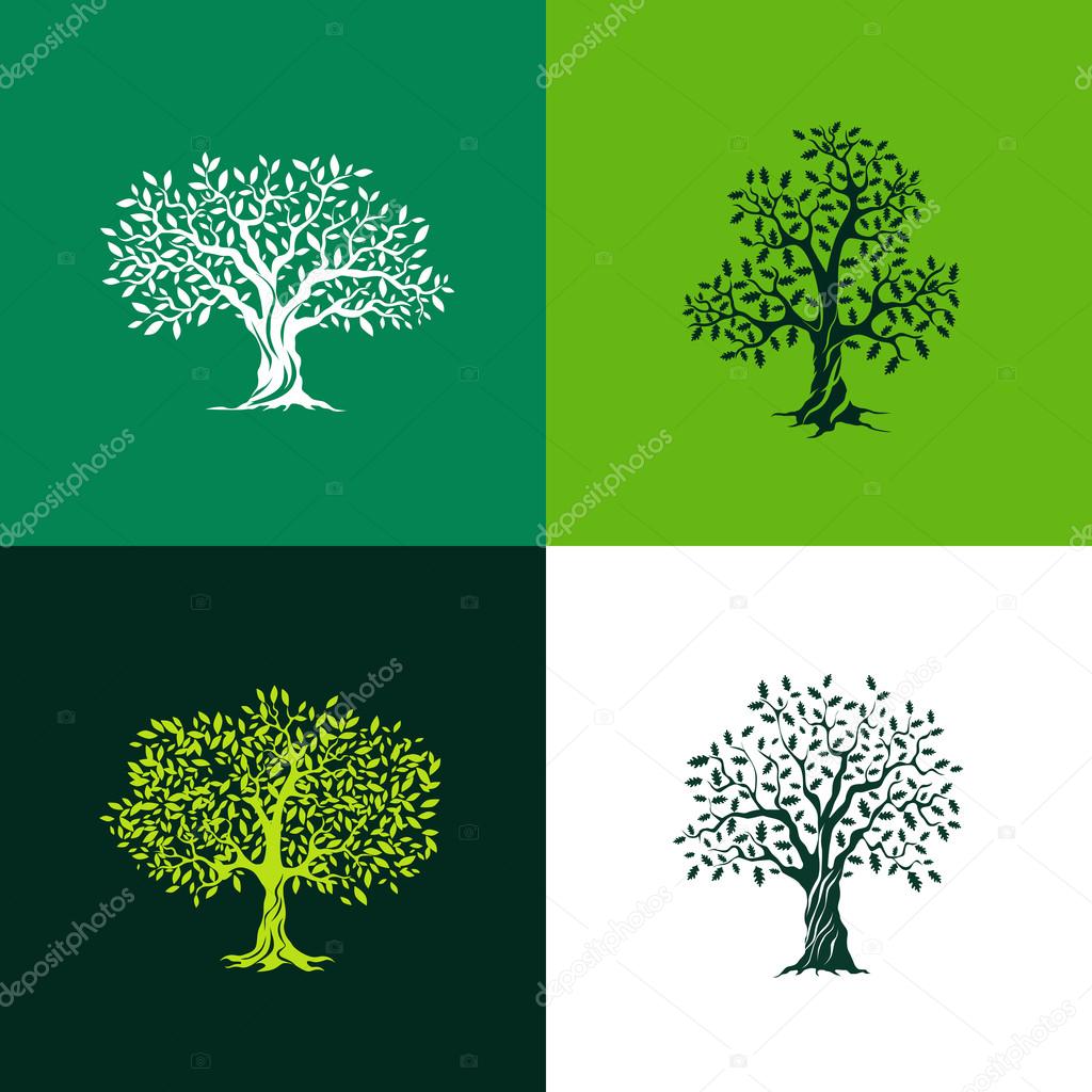 Beautiful oak and olive trees silhouette set on green background. Infographic modern isolated vector sign. Premium quality illustration logo design concept.