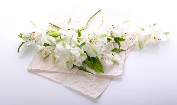 Graceful white flowers on a glossy background. Alstrameria. Blank for a greeting card