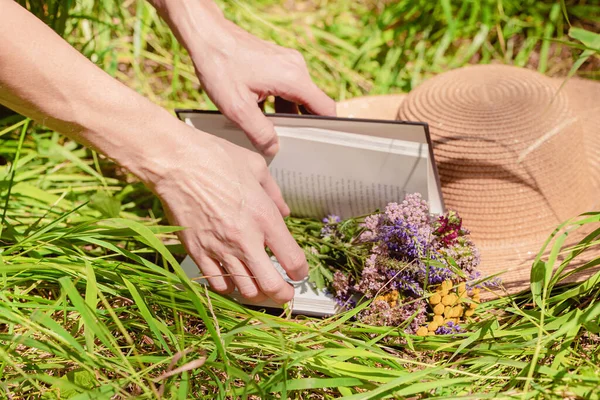 Graceful female hands, a book, a straw hat and a bouquet of forest flowers on the green grass. Summer still life. Bright summer sun