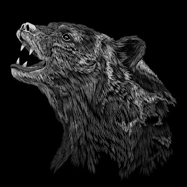 Cabeza de oso negro — Archivo Imágenes Vectoriales