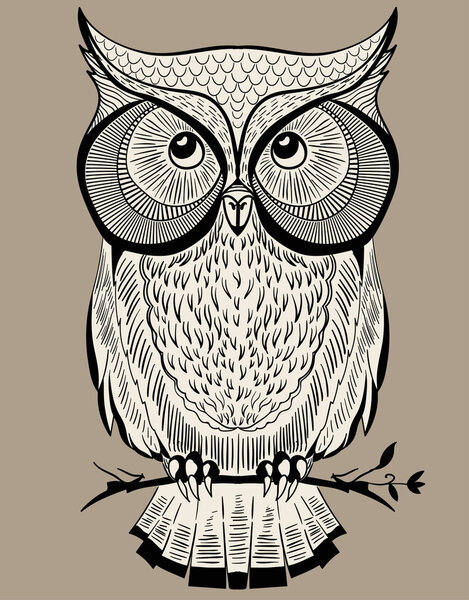 Обыкновенная сова
