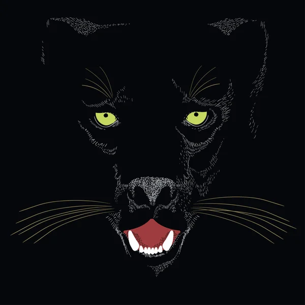 Pantera negra imágenes de stock de arte vectorial | Depositphotos