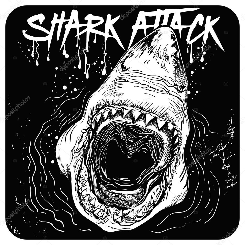 Hand-drawn great white shark on the wave