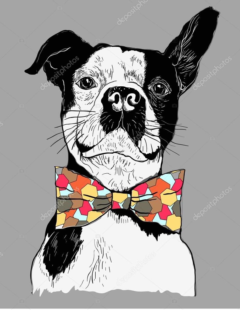 Mano disegnato vettore ritratto del Bulldog francese in papillon colorato — Vettoriali di VECTURE