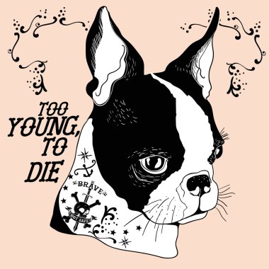 Fransız buldozer portresi