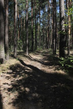 Doğa ve bitkiler Köyü