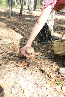 Doğa değişik şekillerde