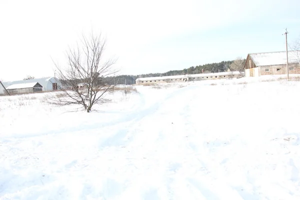 Vinter i byn — Stockfoto