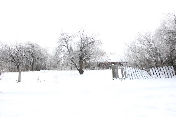 Зима в деревне — стоковое фото