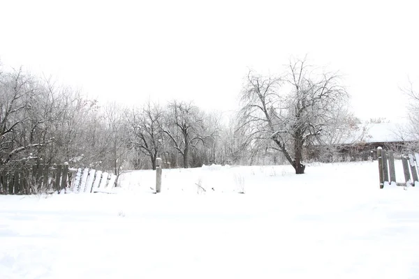 Invierno en pueblo — Foto de Stock