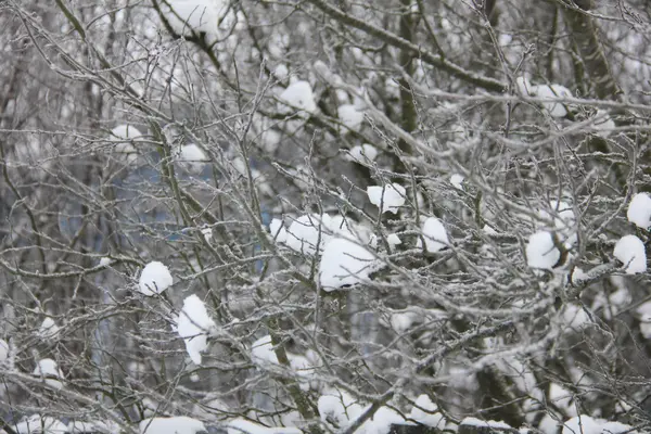 Зима в деревне — стоковое фото