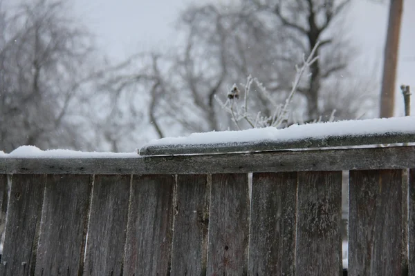 The village in winter — Stockfoto