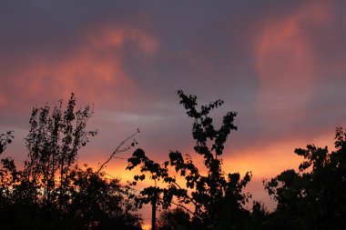 Doğa değişik şekillerde