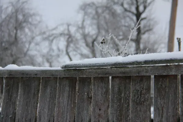 Natuur in het dorp. — Stockfoto